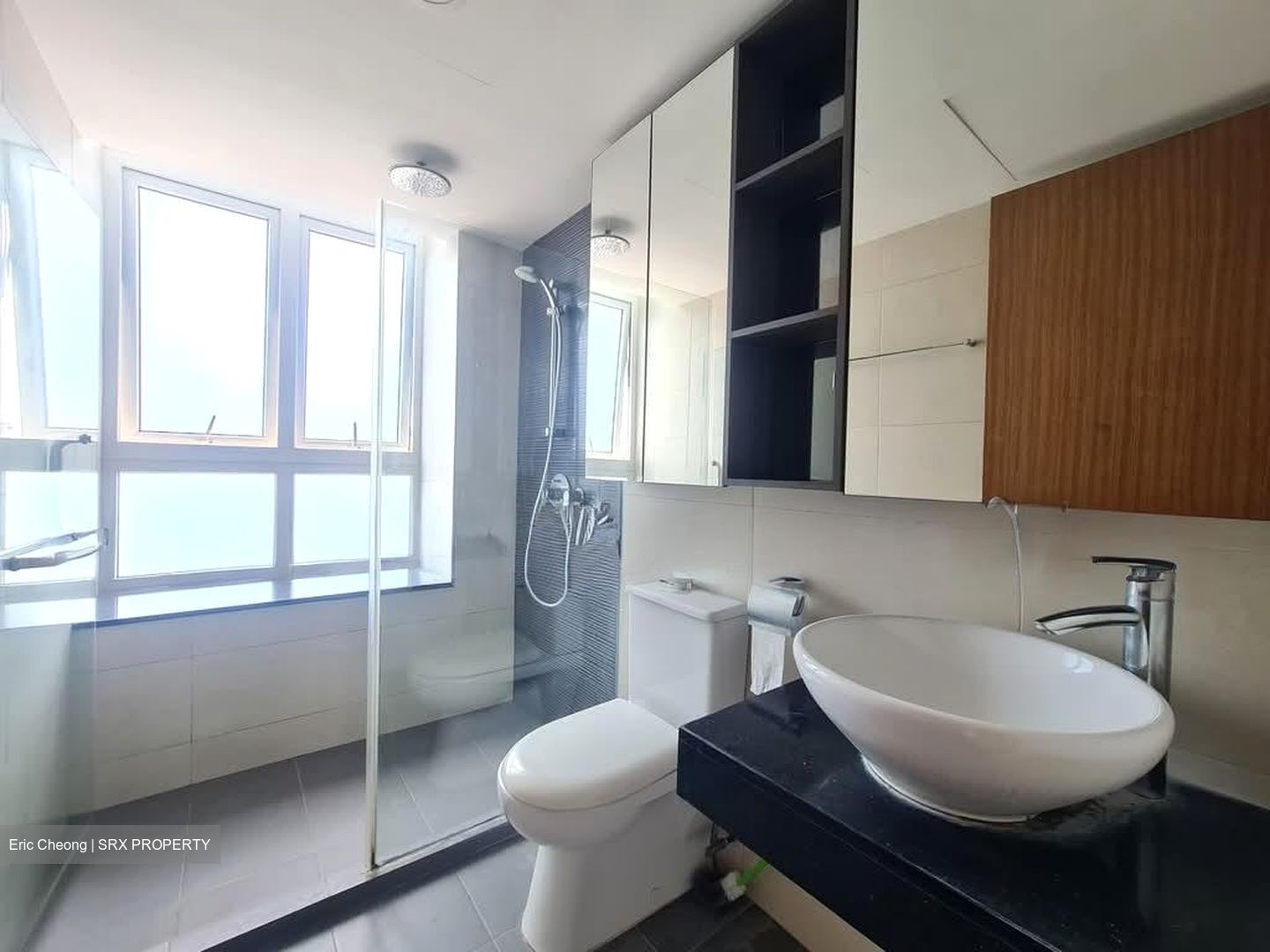 Imperial Heights (D15), Apartment #581755381